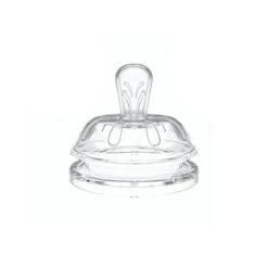 2 Tettarelle A Flusso Medio 2